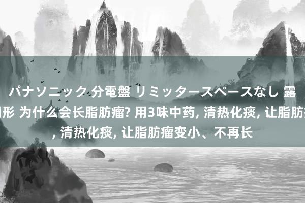 パナソニック 分電盤 リミッタースペースなし 露出・半埋込両用形 为什么会长脂肪瘤? 用3味中药， 清热化痰， 让脂肪瘤变小、不再长