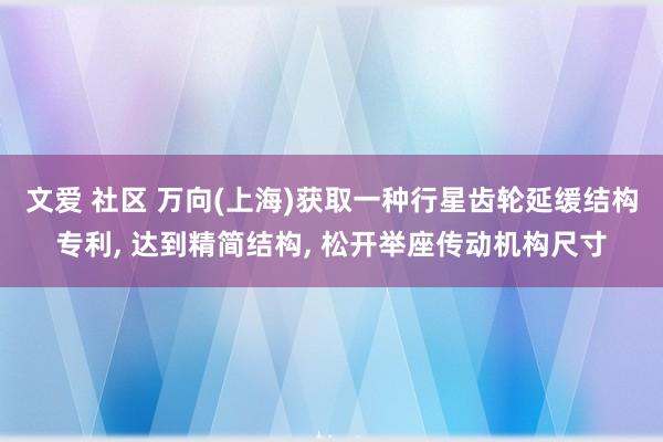 文爱 社区 万向(上海)获取一种行星齿轮延缓结构专利， 达到精简结构， 松开举座传动机构尺寸