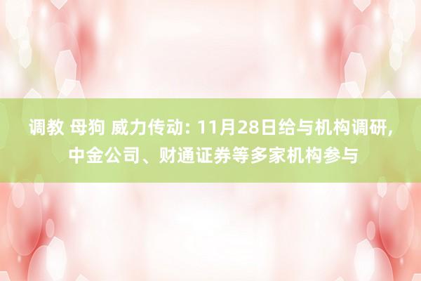 调教 母狗 威力传动: 11月28日给与机构调研， 中金公司、财通证券等多家机构参与