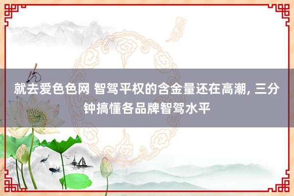 就去爱色色网 智驾平权的含金量还在高潮， 三分钟搞懂各品牌智驾水平