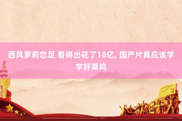 西风萝莉恋足 看得出花了18亿， 国产片真应该学学好莱坞